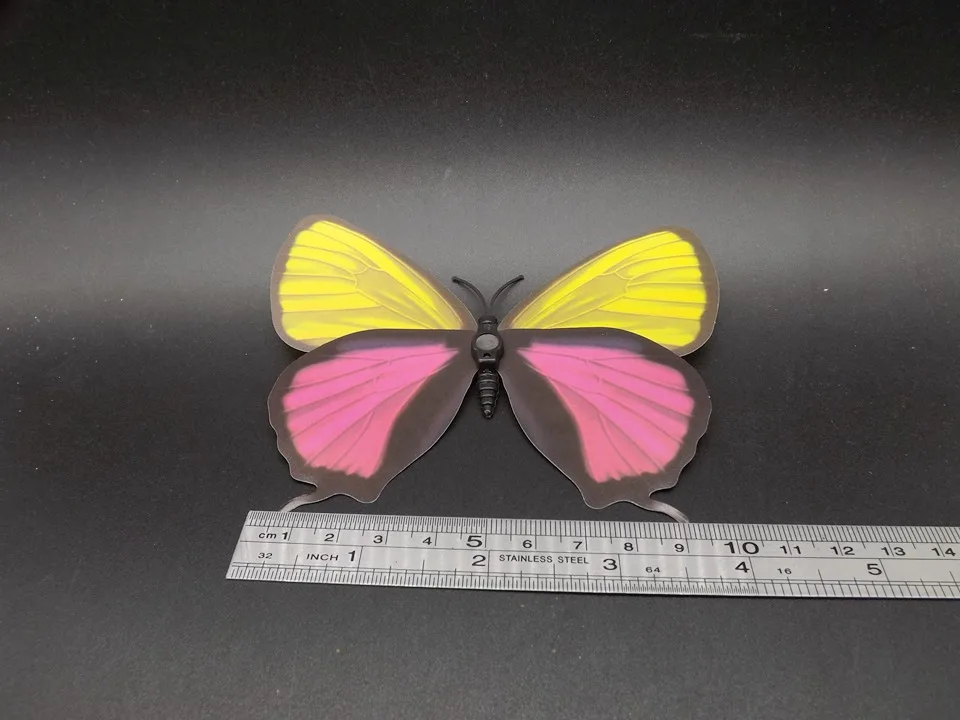 I236-Butterfly (12)