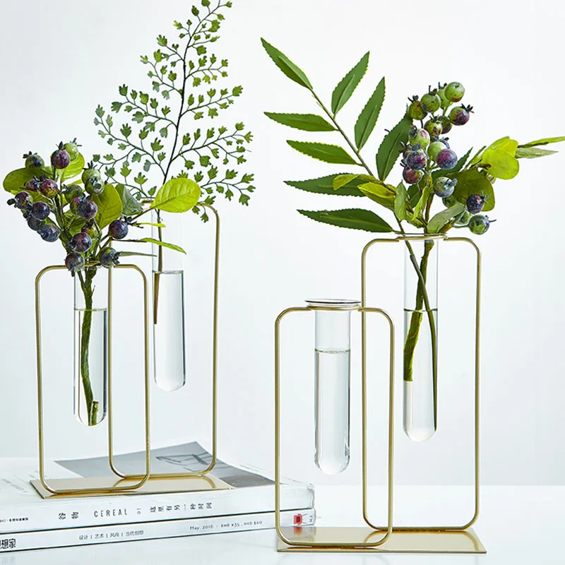 

Nordic ins Gold Iron Art Transparent Glass Tube Hydroponic Vase Desktop Plant Flower Pot Indoor Planters Garden Decoration Vases