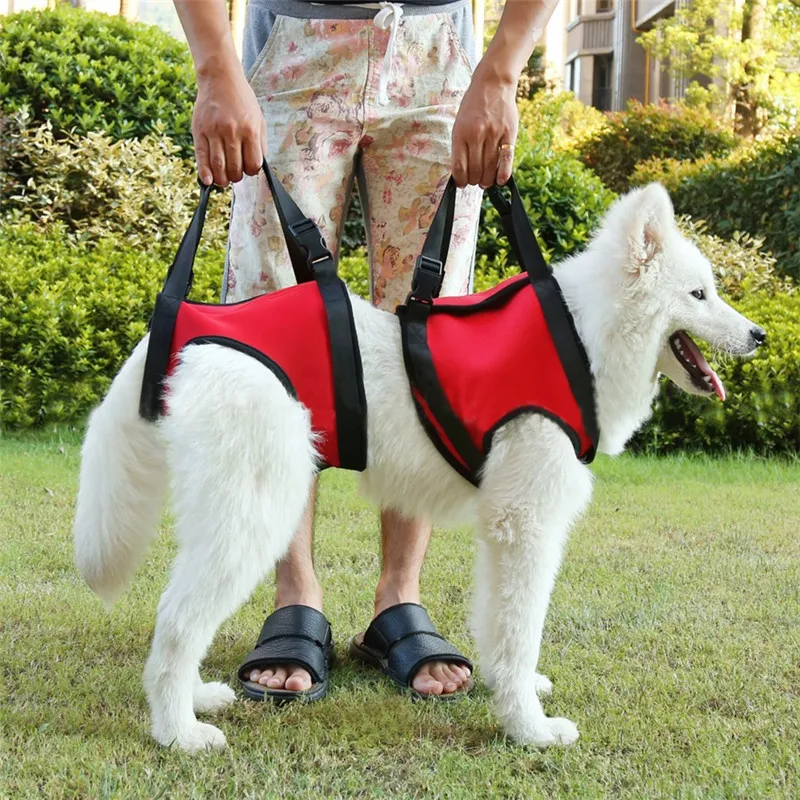 

Portable Pet Dog Functional Auxiliary Belt Polyester Disabled Dog Training Injury Use Pets Rehabilitation Harness Assist Sling