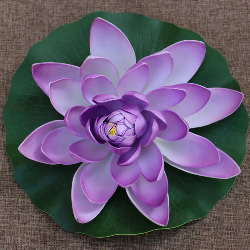 4269569717_921926052