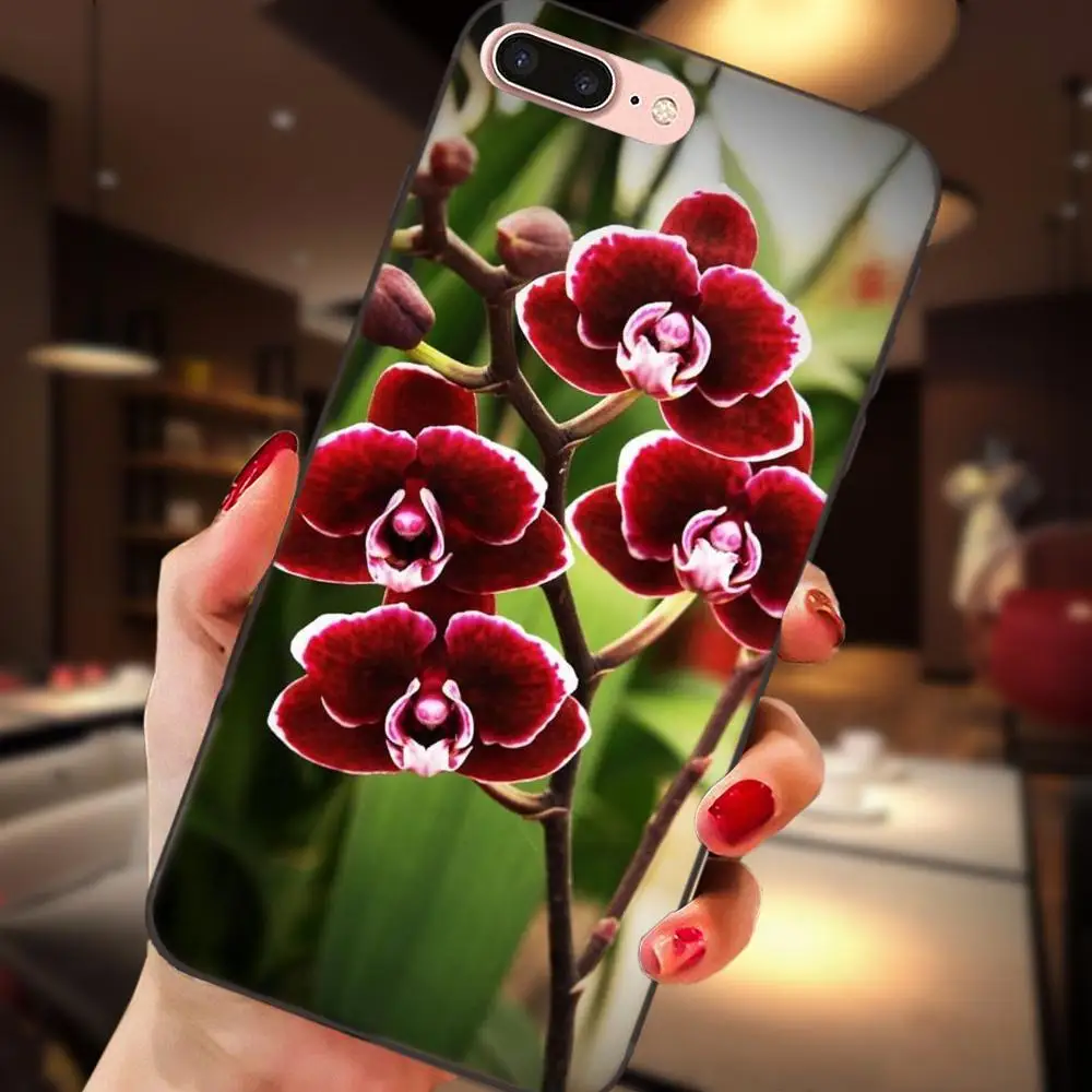 Для huawei Honor 5A 6A 6C 7A 7C 7X 8A 8C 8X9 10 P8 P9 P10 P20 P30 Мини Lite Plus Tpu чехол для телефона цветок орхидеи - Цвет: as picture
