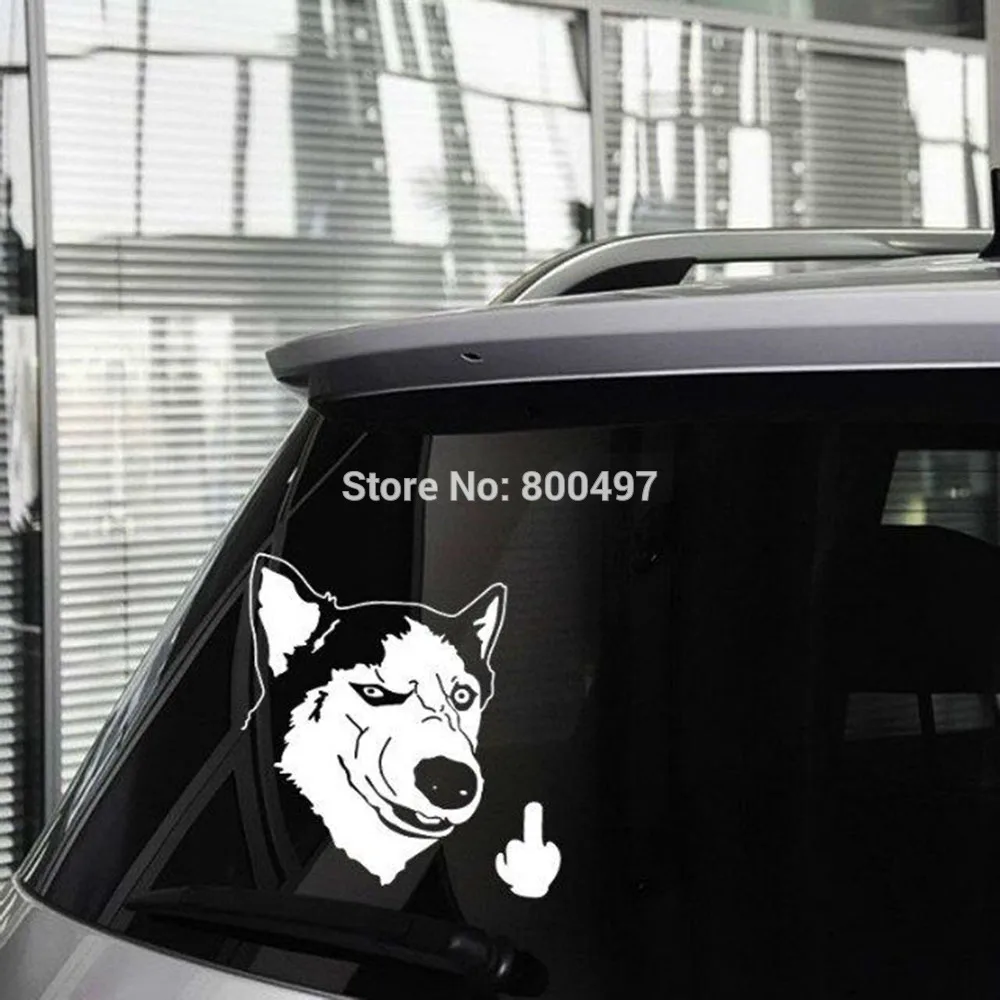 10 х Прекрасный Автомобиль охватывает Животное Серьезные Собачьих Листать Палец