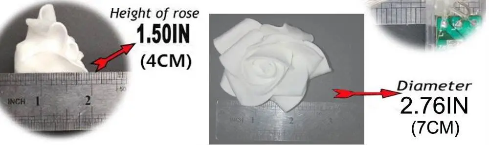Rose Size for solar string lights