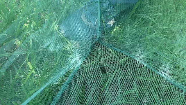 Breed Fishing Nets Stake Net 3MM Small Mesh Catch Fish Box Aquaculture Pond Trap Fishing Gear Farming Net Cage Square Trap Tool 5