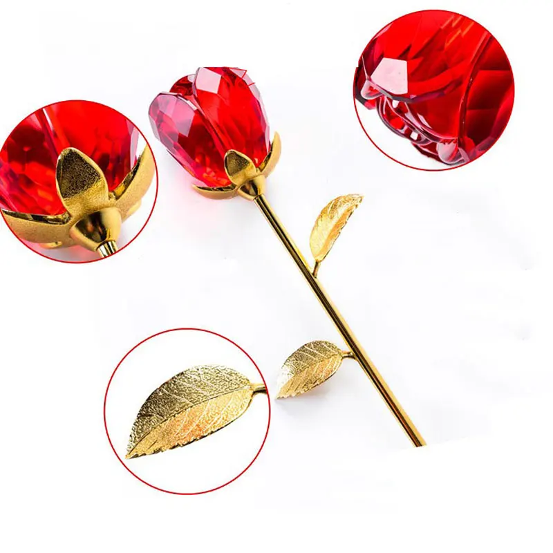 3294421561_1677423284