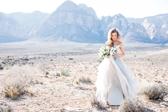 13-vintage-bridal-glam-red-rocks-canyon(pp_w480_h320)