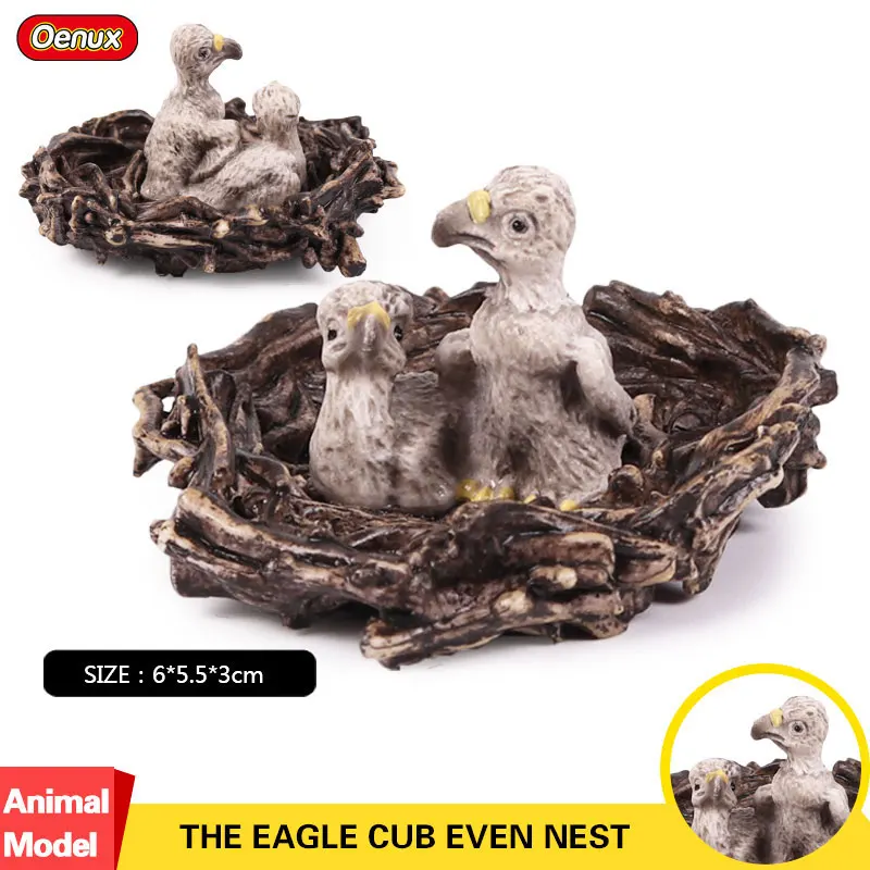 

Oenux High Quality The Eagle Cub Bird Animal Figurines Eagle Model Action Figures Collection Educational Toy For Kids