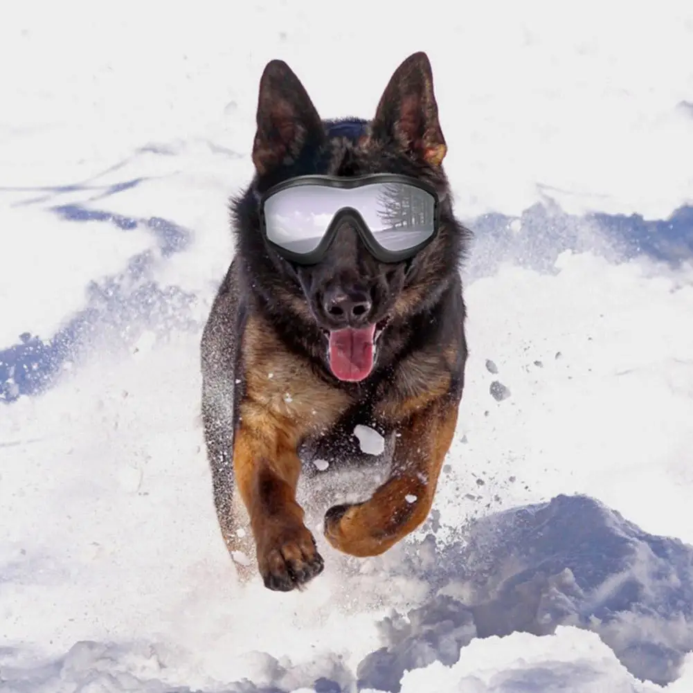 LanLan Pet Dog Goggle водонепроницаемые ультрафиолетовые защитные очки Защита для глаз