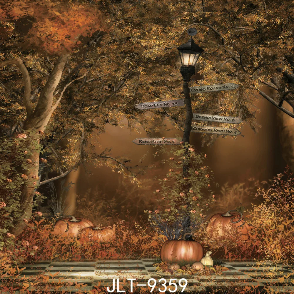 Pumpkin Autumn Vinyl Photography Halloween Backgrounds Computer Printed
