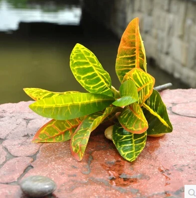 1 Pc Or Jaune Plantes Artificielles Grande Feuille Arbres