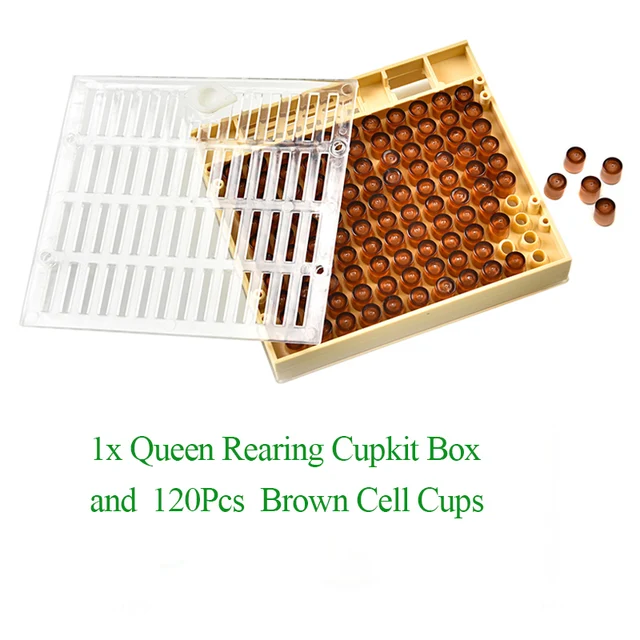 Műanyag Nevelő Queen Méh Kupkit Doboz Rendszer Méhkaros Szerszám Apikulture Kiegészítők - Image 3