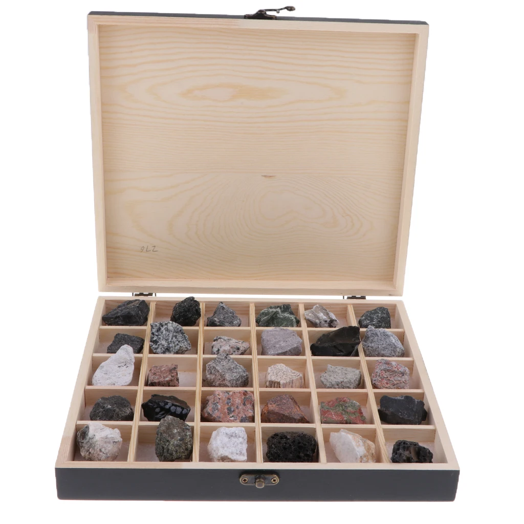 30pcs/Set Rocks and Minerals Collection - Igneous Rock Specimens Geology Earth Science Toy School Teaching Aids Tool