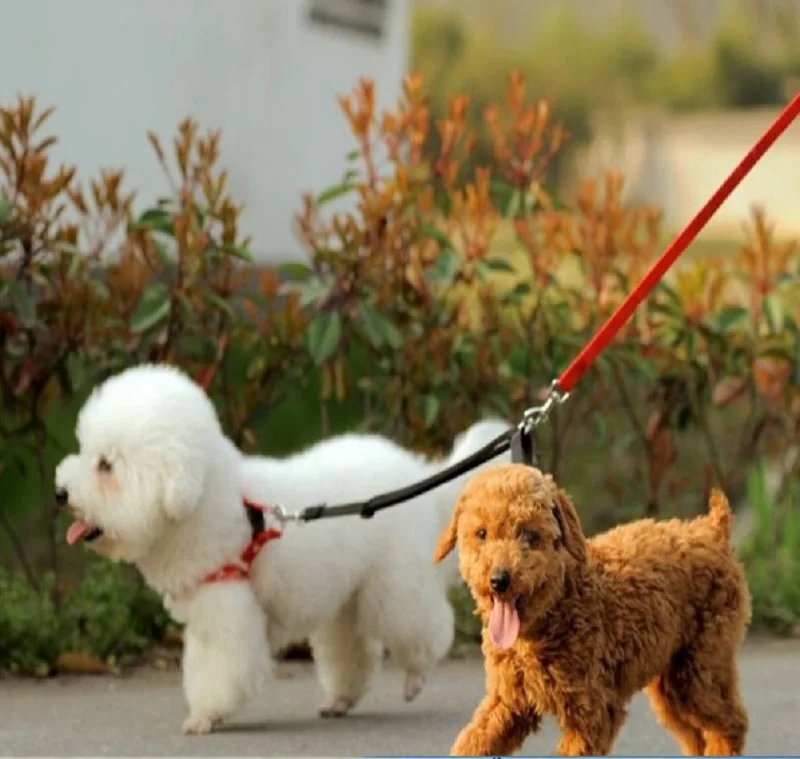 L44_New_Pet_dog_cat_Double_Multiple_Dual_Coupler_Leads_2_Way_Two_Pet_Dogs_Walking_Leash_Safety_ (1)