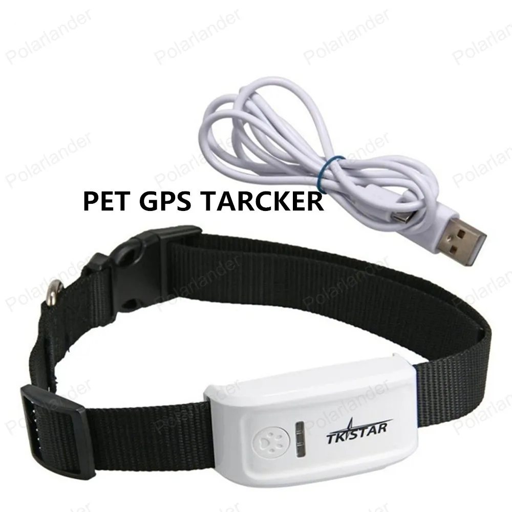 super mini TK909 long standby time dog cat Pet personal gps tracker IOS Andriod App free