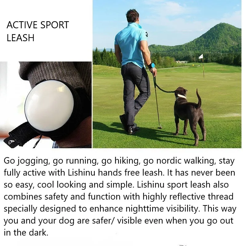 Cheap Glowing Dog Collar Harness Seat Belt Pet Dog Jogging Running Sport World s 1.ST Intelligent Hands Free Retractable Dog Leash