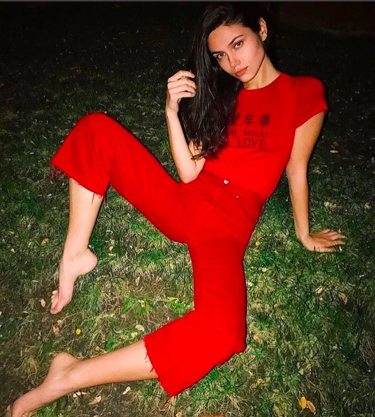 

ummer harajuku hiphop sexy retro style Chinese IN THE MOOD FOR LOVE embroidery red crop top tight cropped women tops TL015