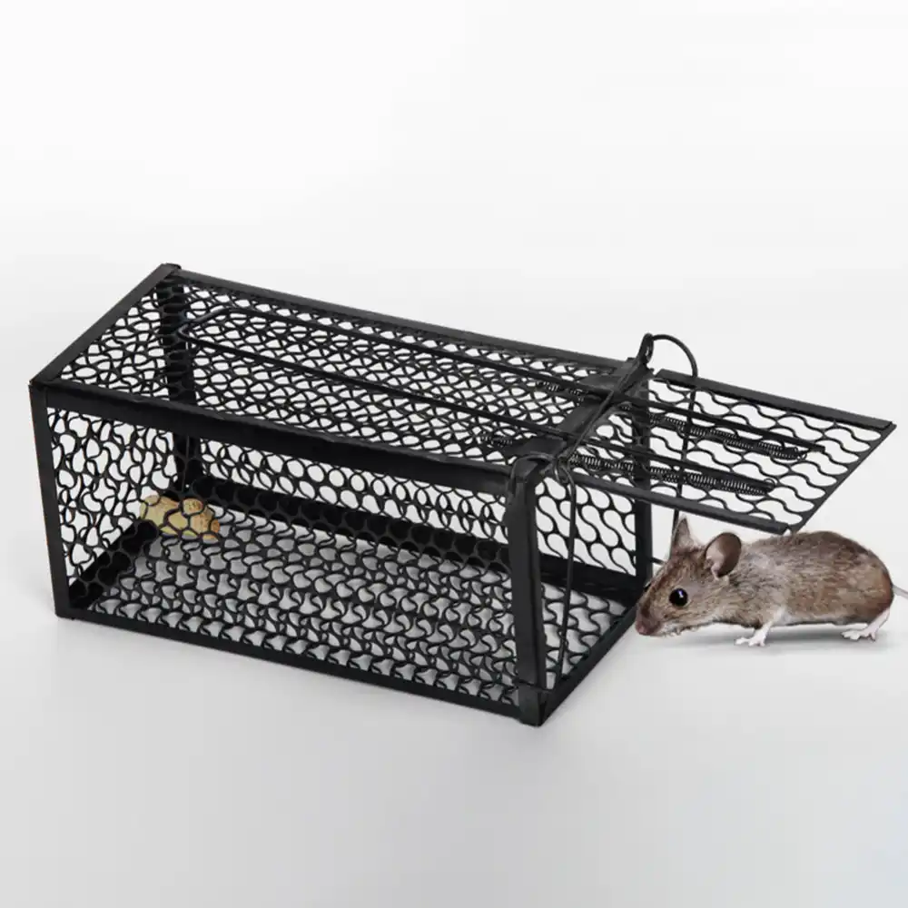 1Pcs-Rat-Cage-Mice-Rodent-Animal-Control-Catch-Bait-Hamster-Mouse-Trap-Humane-Live-Home-Rat.jpg_q50.jpg
