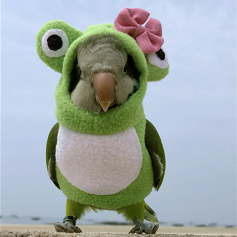 Одежда с птицами Pet Parrot пеленки салфетки ручной работы штаны с птицами милый Летающий костюм для Cockatiel Sun Parakeet монах попугай мягкая ткань