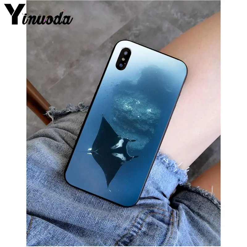 Animal manta ray