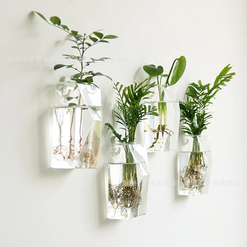 3pcs/lot Home Decoration Cheap Creative Glass Hydroponic Suspension Vase Green Radish Flower Pots Simple Modern Home Decoration 3pcs/lot Home Decoration Cheap Creative Glass Hydroponic Suspension Vase Green Radish Flower Pots Simple Modern Home Decoration