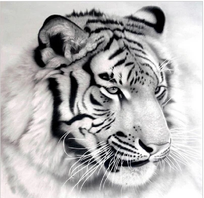 

Tiger Diy Diamond painting needlework square diamond embroidery rhinestone sticker pictures Handmade Crafts wall decor art Y626