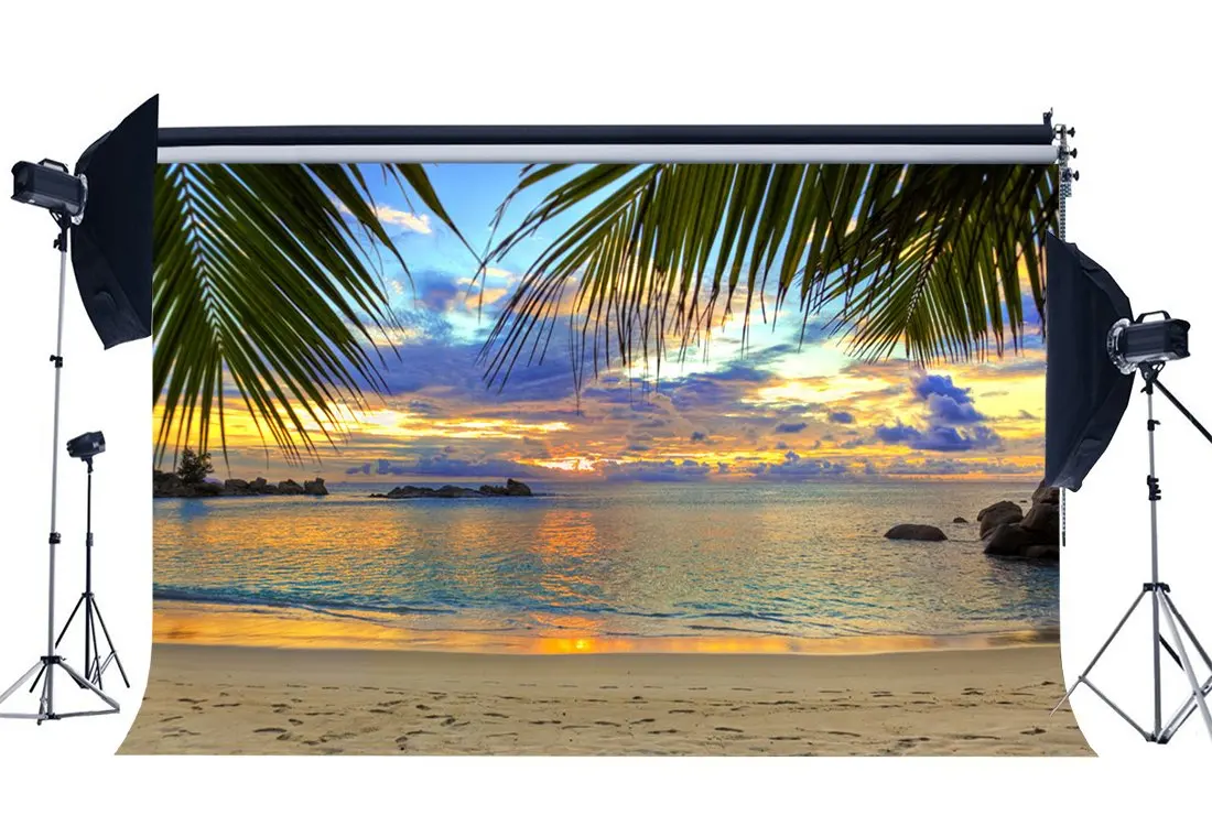 

Tropical Beach Backdrop Seaside Sand Beach Backdrops Palm Tree Rock Stones Sunrise View Sea Photography Background