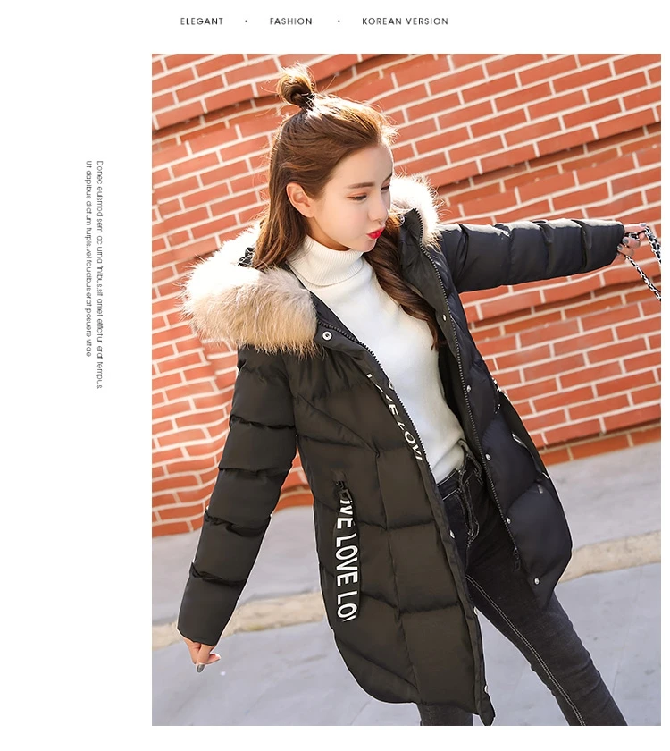 Winter Jacket Women Medium  Long Section Down Cotton Clothing Winter Woman Coats 2018 Big Fur Collar Women's Winter Jacket (25)