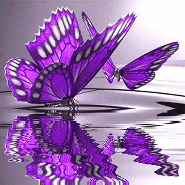 product-image-664534131_1024x1024