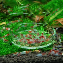 Горячая круглый аквариум креветка, еда кормушка кормление чаша чашка аквариум кристалл красные креветки Улитка рыба еда контейнер