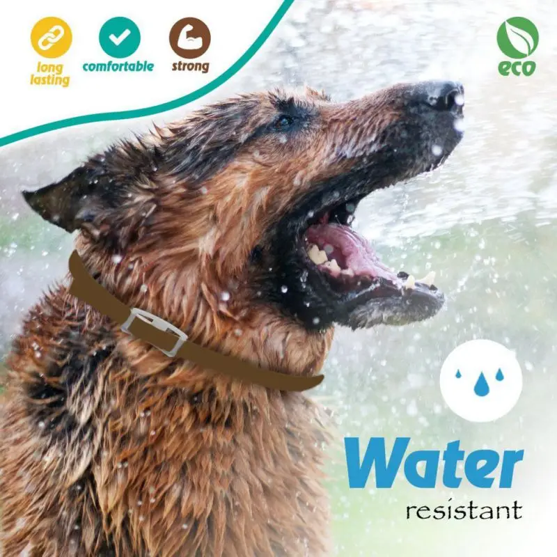 Pets Dog Cat Collars Essential Oil Pest Fleas Control Reject Anti Flea