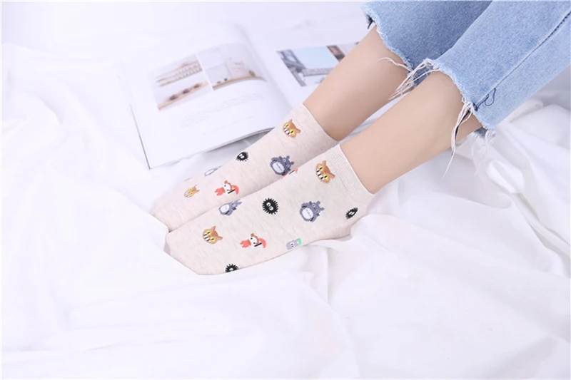 8562509631_236421210