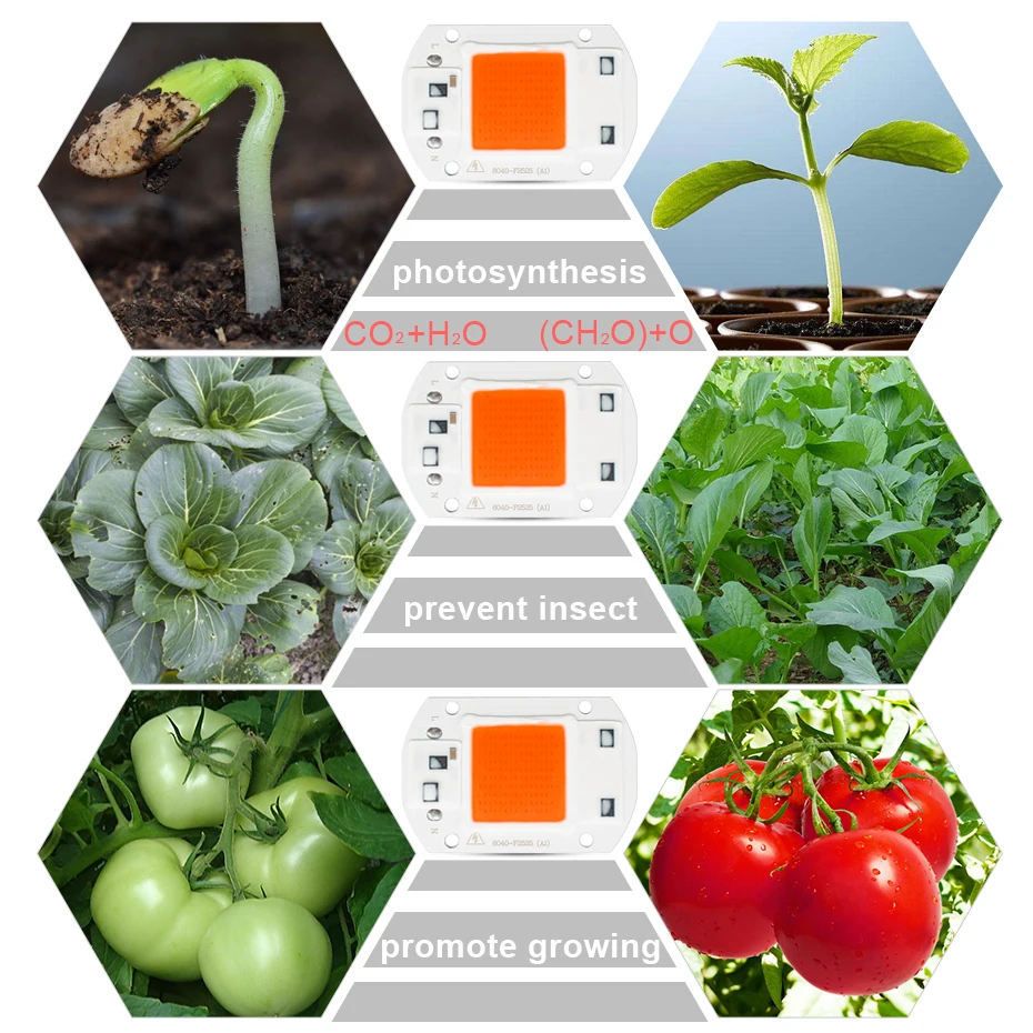 Лампа для выращивания растений, светильник для выращивания растений, светодиодный чип 220 В 110 В 50 Вт 30 Вт 20 Вт, фитолампа, полный спектр, 380nm-780nm, светодиодный светильник для выращивания Cob