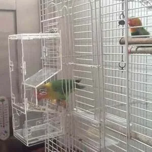 Корм для птиц No Mess кормушка попугай еда чаша кормления заводчик канарский Cockatiel