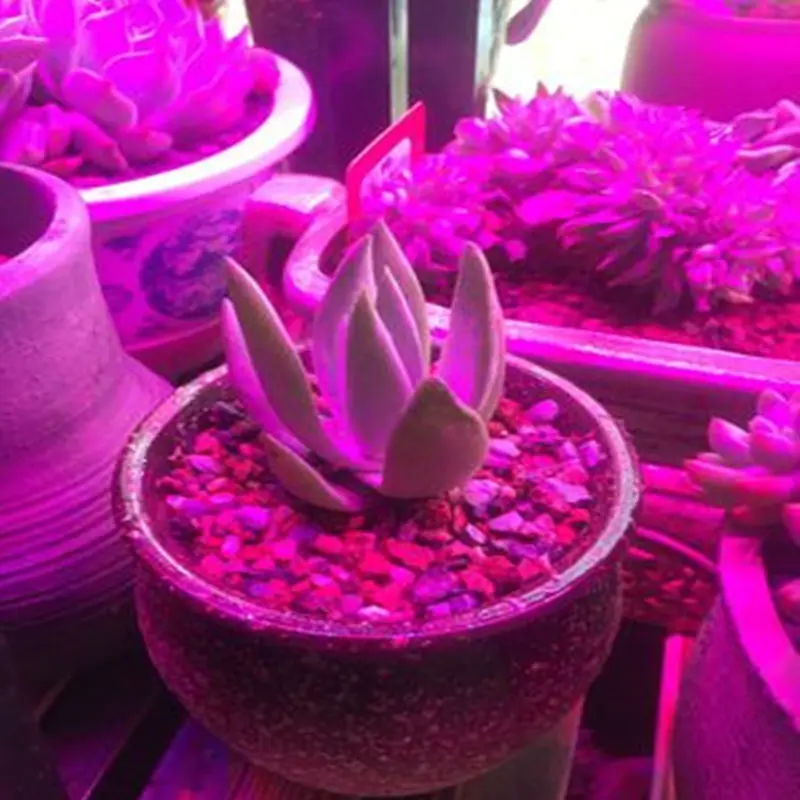 LED-E27-Full-Spectrum-Led-Grow-Light-220V-Red-Blue-UV-IR-Led-Growing-Lamp-For (1)