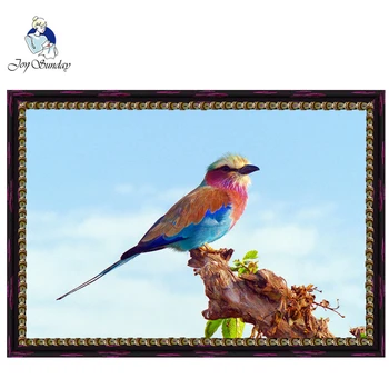 

JOY SUNDAY Needlework,DIY DMC Cross stitch,11CT,14CT Sets For Embroidery kits,A colorful bird threads Counted Cross-Stitching