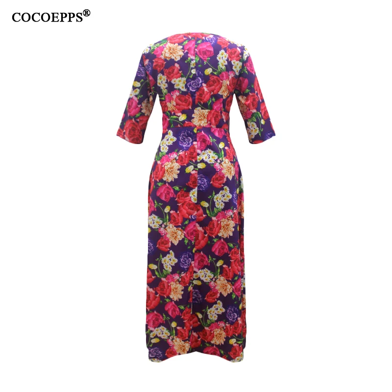 COCOEPPS11