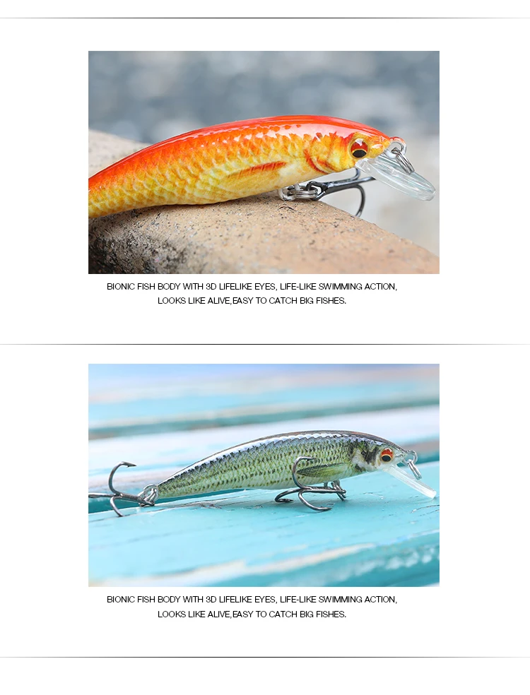 Minnow Fishing Lure06