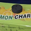 Shisha Hookah Charcoal Lemon Flavored Quick-lighting Burn Even Lasting Long Flavored Charcoal Less Ash Chicha ► Photo 3/6