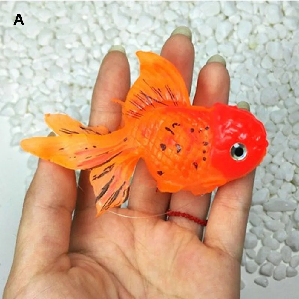 Золотые Рыбки Аквариумные Купить В Спб