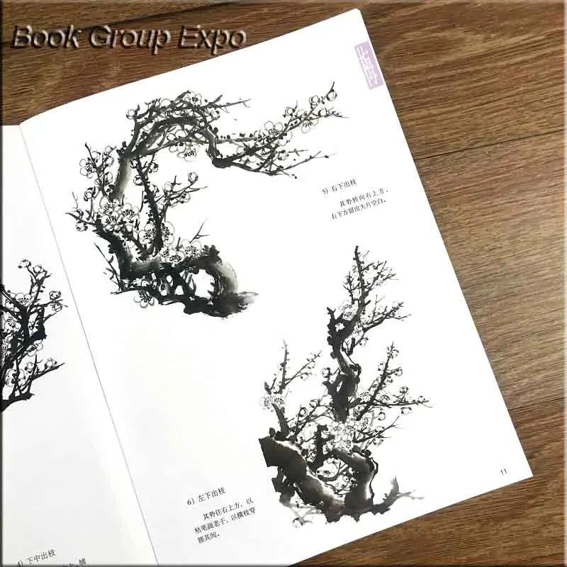 Книга китайской живописи "учитесь рисовать цветущую сливу" Восточные чернила для кистей Искусство