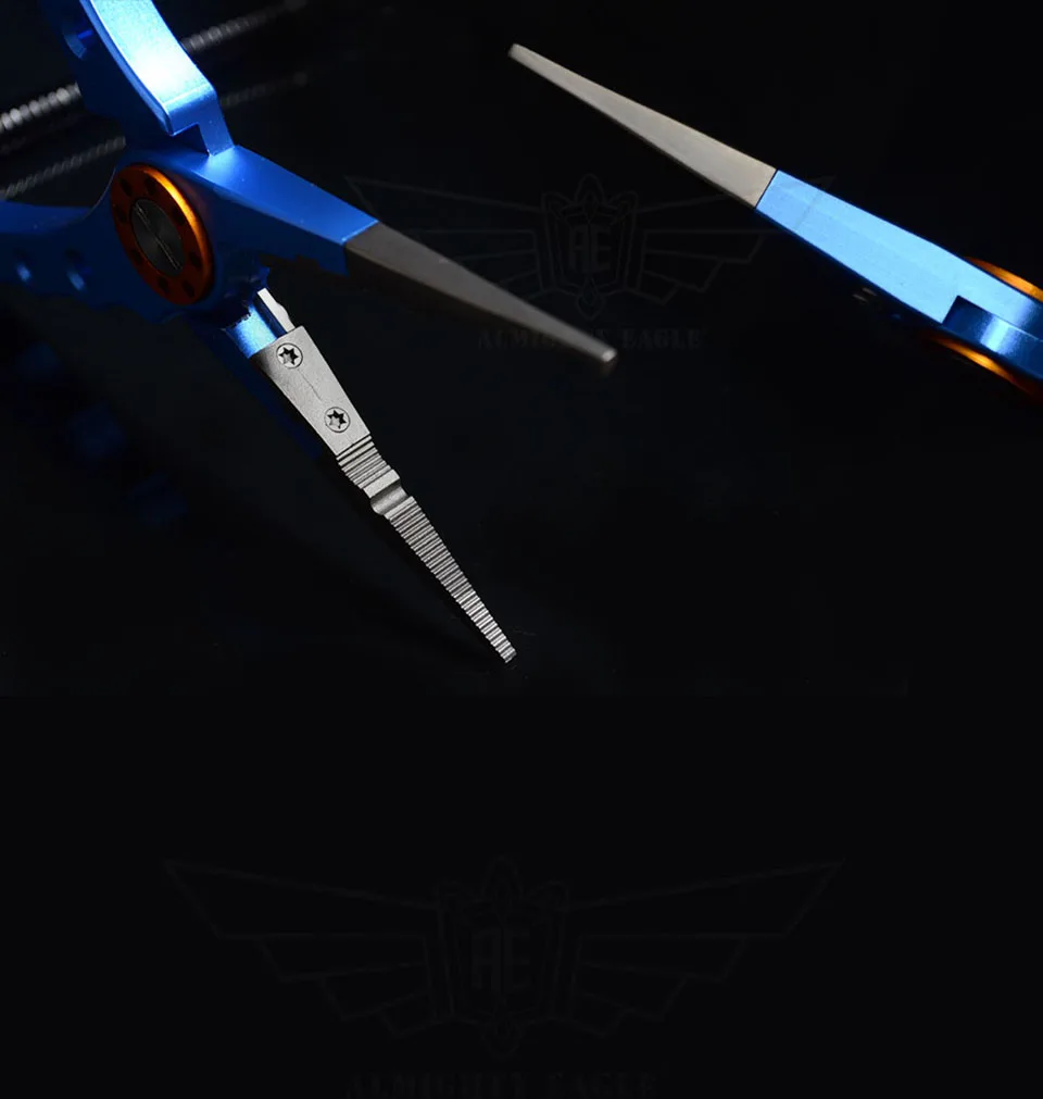 z6
