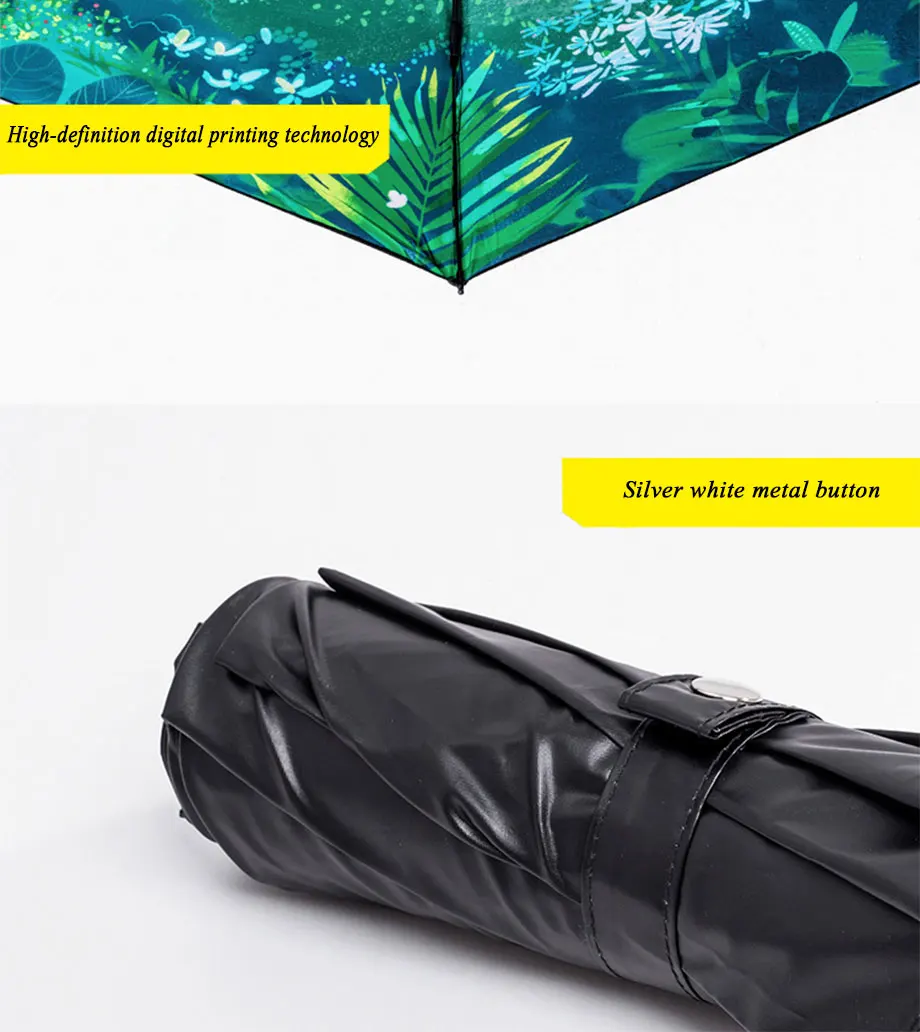 3401466880_2131395198_05