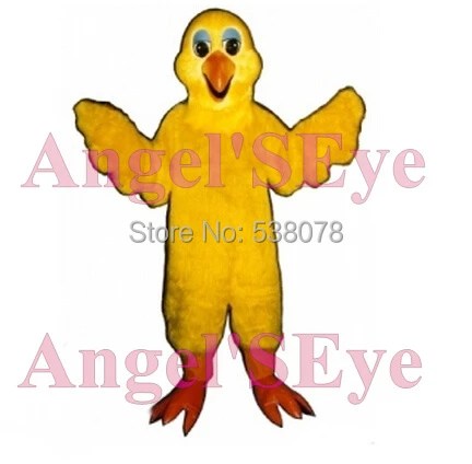 5000 Koleksi Gambar Burung Kenari Kartun HD