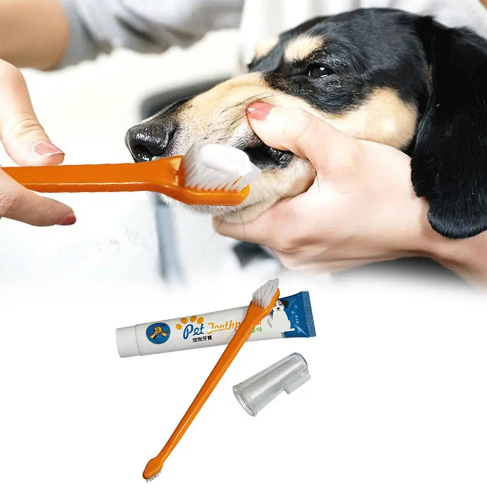Косточка для чистки зубов. Зубная паста и щетка для собак. Toothpaste для собак. Зубная щётка и зубная паста для кошек.