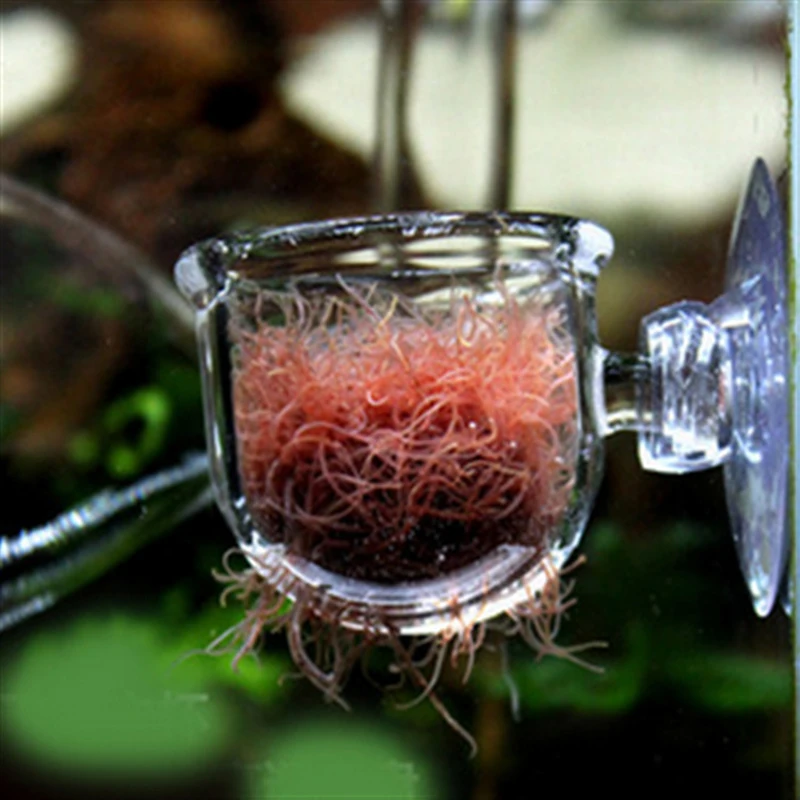 Водные принадлежности стеклянная Подающая чашка водная трава украшения красные черви стеклянная пищевая чашка Фидер для аквариума пейзаж