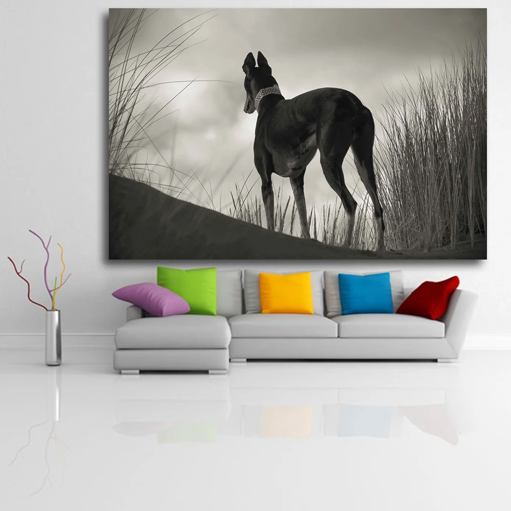Sofa-and-color-h