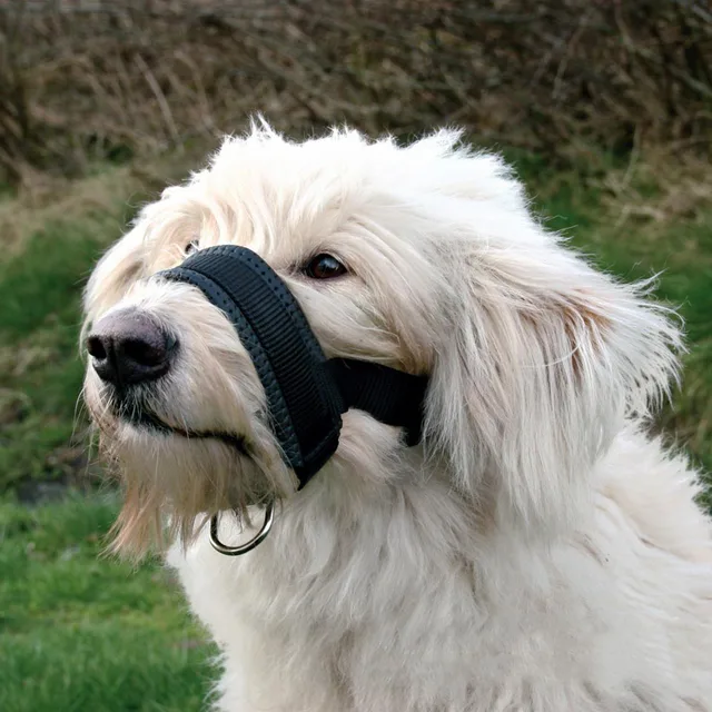 Adjustable Dog Muzzle Head Collar Walk Training Pulling Halter Anti Bark Bite Pet Accessories Hogard