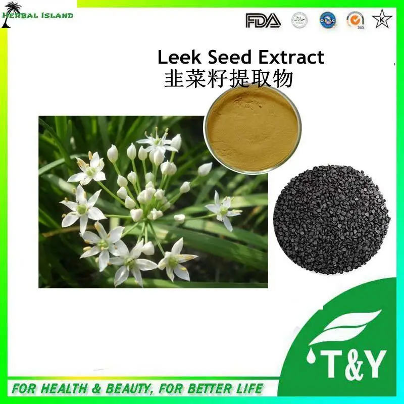Herbal medicine Leek Seeds extract/ /Tuber Onion Seed Extract 500g/lotseed extractlot lotlot