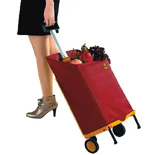Folding Reusable Supermarket Grocery 
