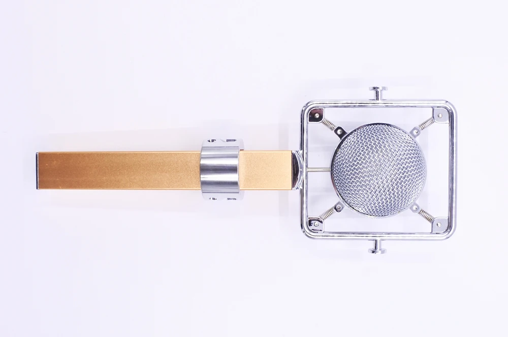 Dragonfly style professional studio computer vocal